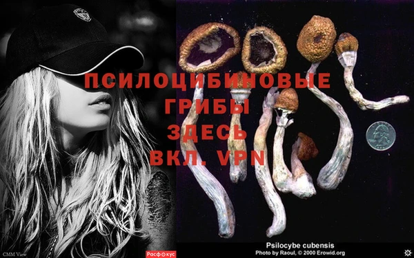 ГАЛЛЮЦИНОГЕННЫЕ ГРИБЫ Алексеевка