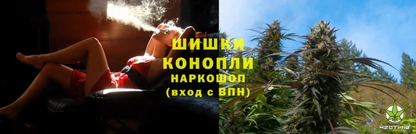 PSILOCYBIN Армянск