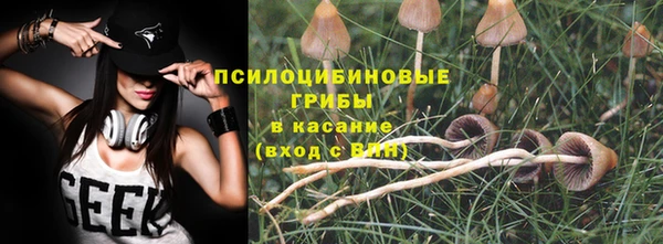 стафф Пролетарск