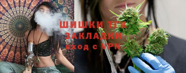 PSILOCYBIN Армянск