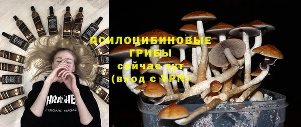 ГАЛЛЮЦИНОГЕННЫЕ ГРИБЫ Алексеевка
