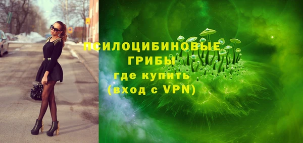 PSILOCYBIN Армянск