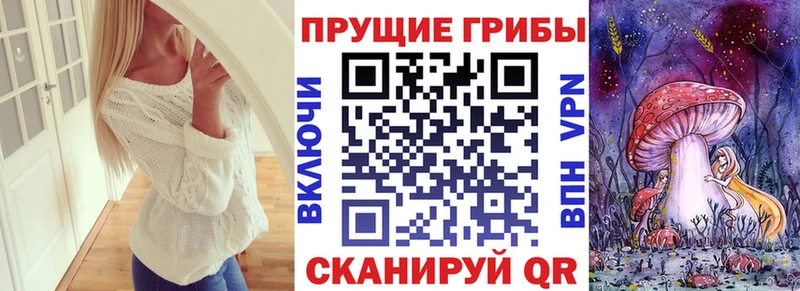 Псилоцибиновые грибы Cubensis Кувшиново